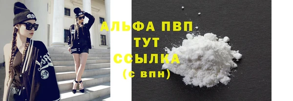 стаф Козельск