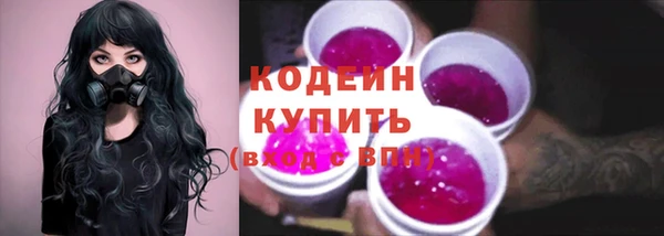 стаф Козельск