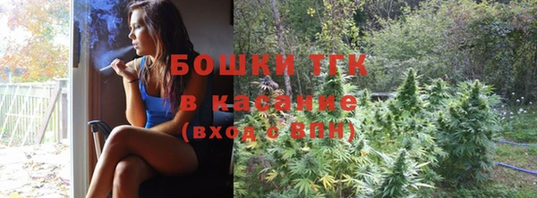 стаф Козельск