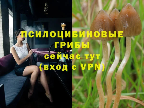 синтетический гашиш Кодинск