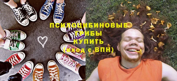 стаф Козельск