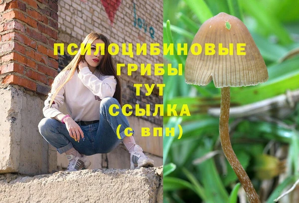 стаф Козельск